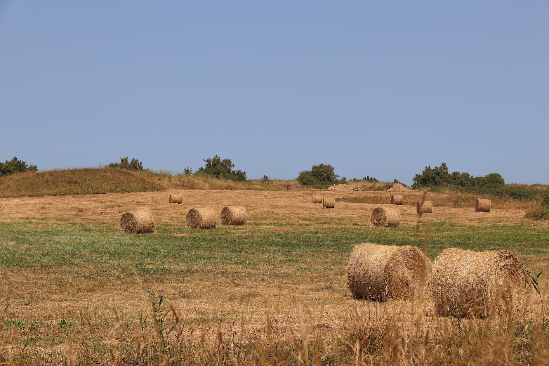 bunch haybales on farmland